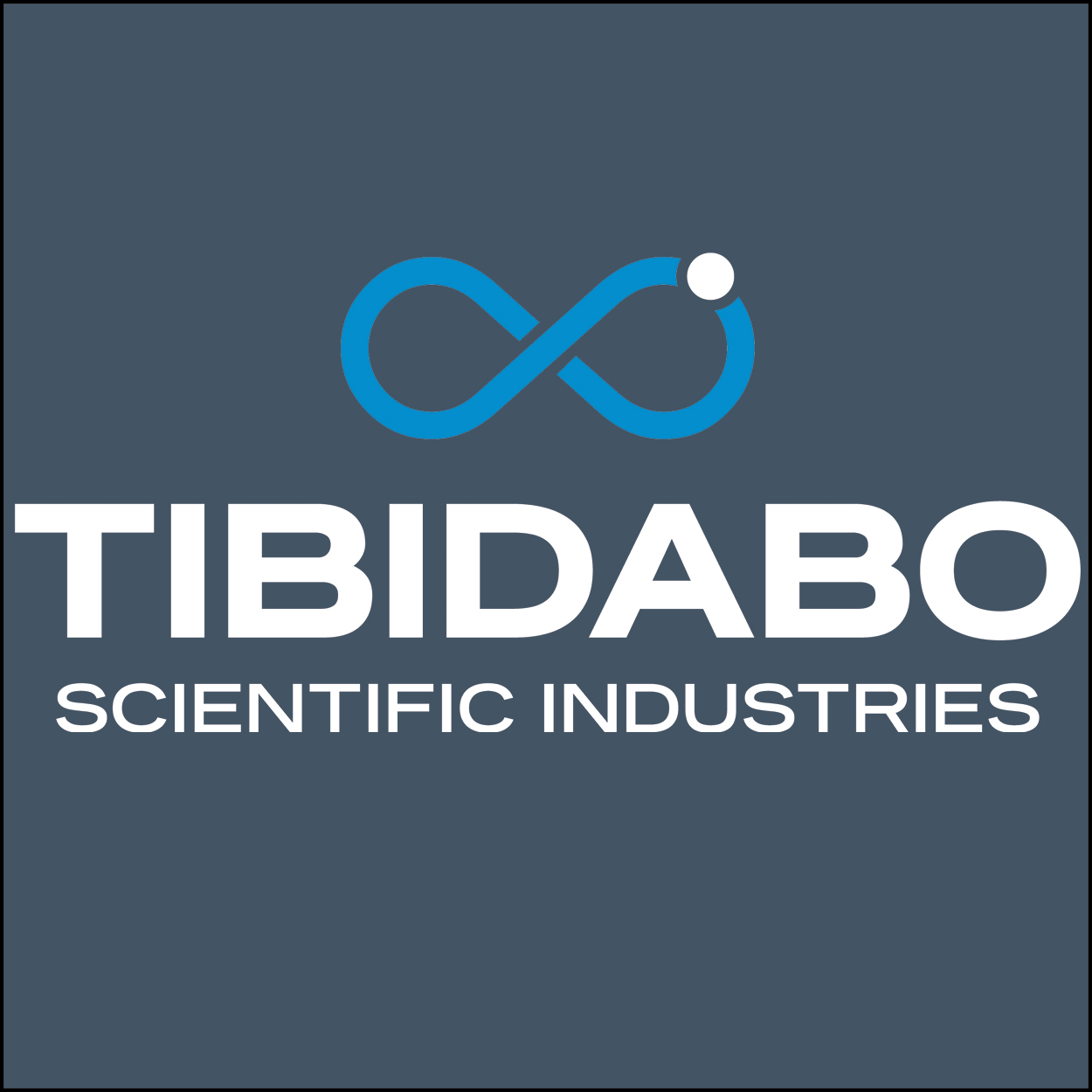 Logo Tibidabo_ Slate_greay